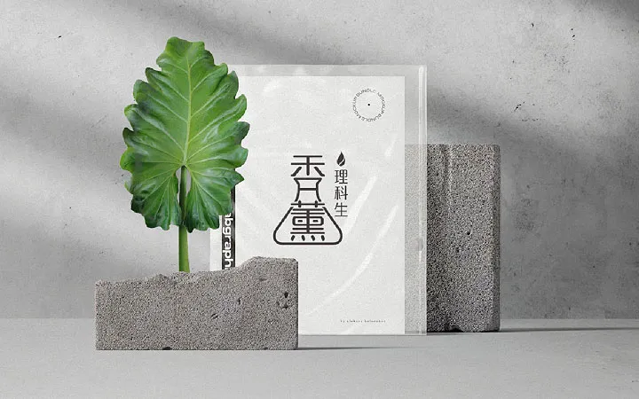 圣熙品牌设计-7年实体店