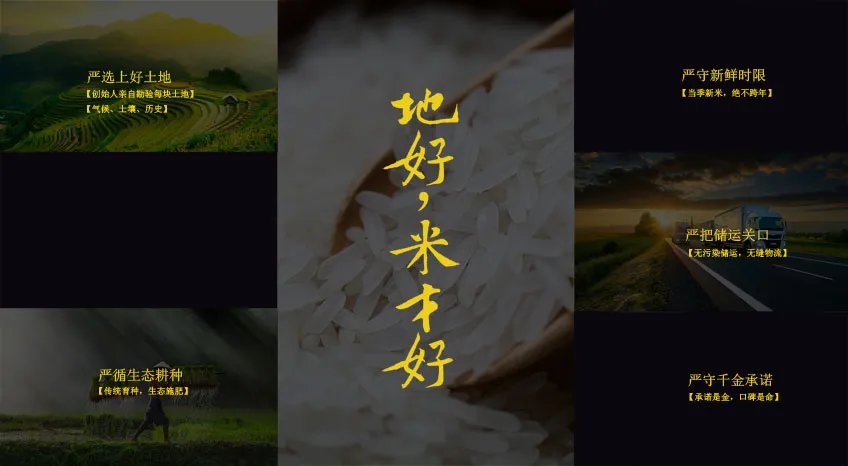 光荣网络光荣文创